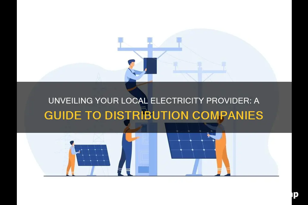 who is my local electricity distribution company