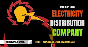 Local Electricity Distribution Company: Who Powers Your Home?