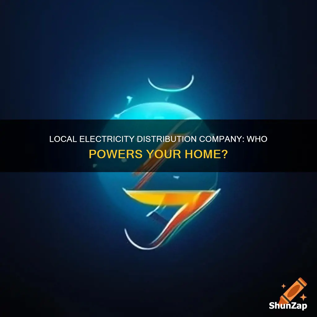 who is my local electricity distribution company
