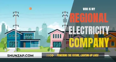 Uncover Your Local Power Provider: A Regional Electricity Company Guide