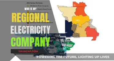 Electricity Companies: Know Your Regional Power Provider