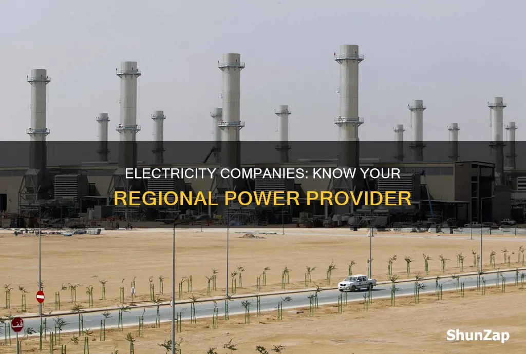 who is my regional electricity company