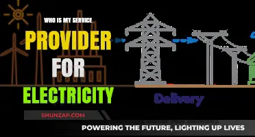 Electricity Service Providers: Who Powers Your Home?
