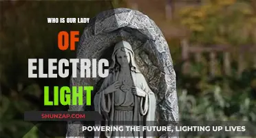 The Luminous Mystery: Our Lady of Electric Light
