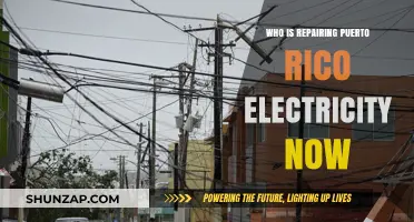 Restoring Puerto Rico's Electricity: Who's in Charge?