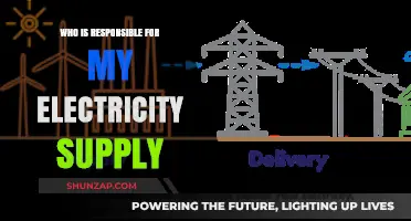 Electricity Supply: Who's in Charge?