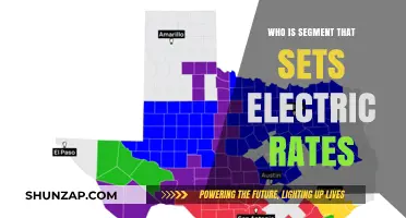 Electric Rate Setting: Who Controls the Switch?
