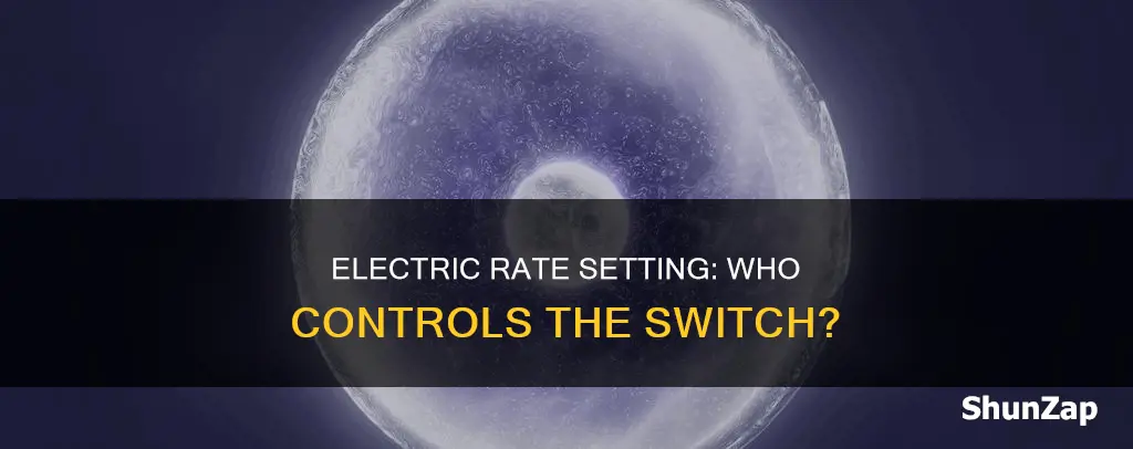 who is segment that sets electric rates