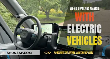 Electric Vehicle Suppliers: Powering Amazon's Sustainable Future