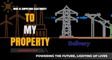 Electricity Supply: Who Powers Your Property?