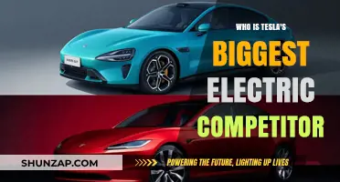 The Race for Electric: Who Challenges Tesla?