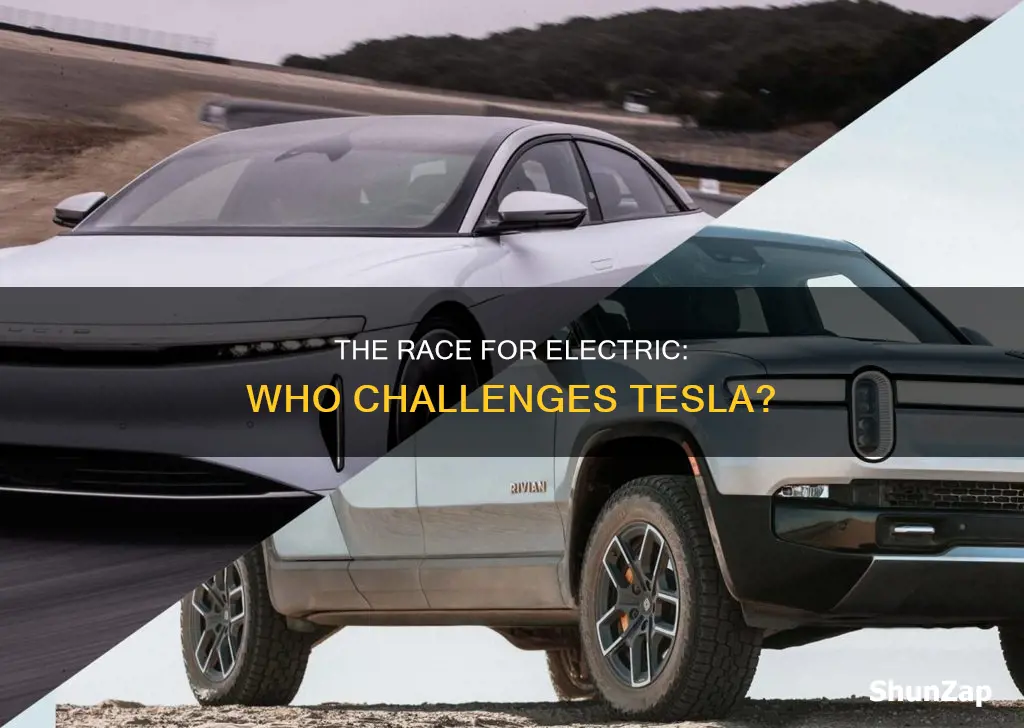 who is tesla