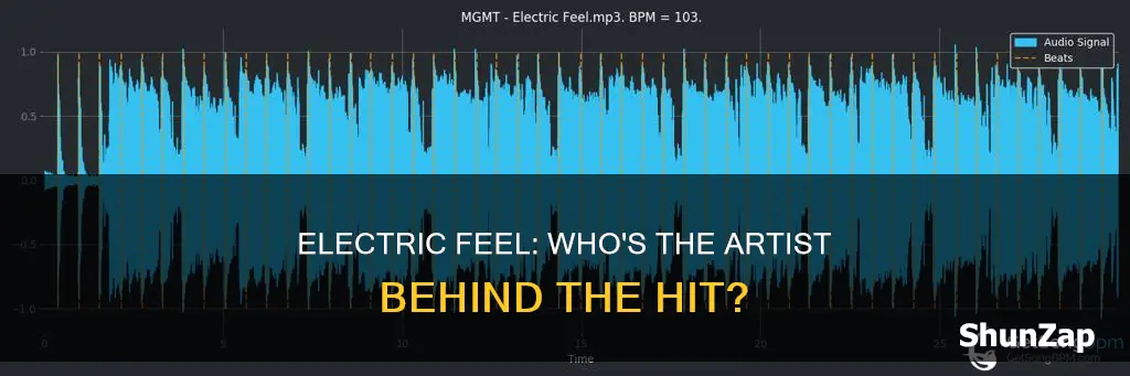 who is the artist of electric feel