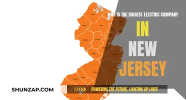 New Jersey's Top Electric Power Giant: Unveiling the Leader