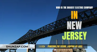 The Biggest Electric Company in New Jersey Unveiled