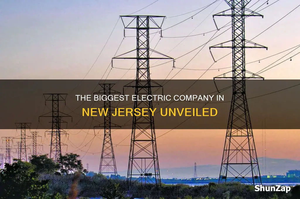 who is the biggest electric company in new jersey