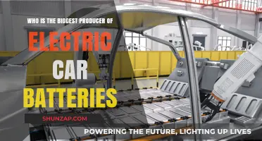 Leading the Charge: Who Dominates Electric Car Battery Production?
