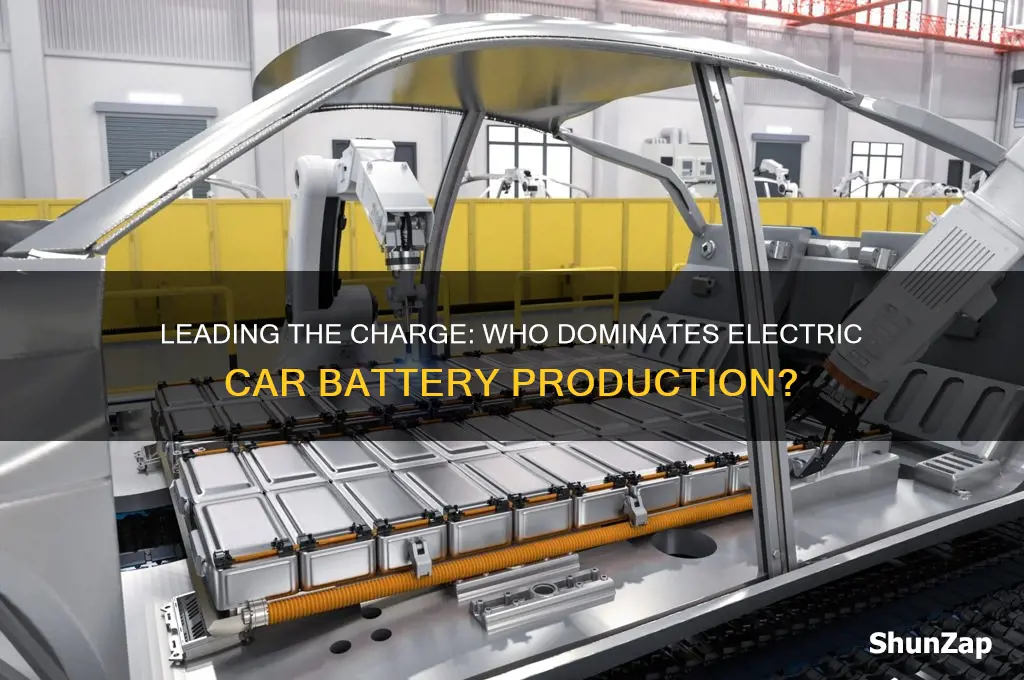 who is the biggest producer of electric car batteries