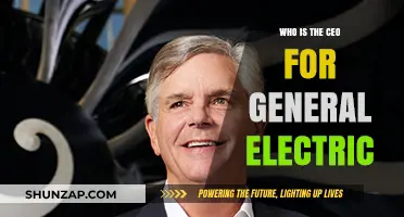 Leadership at General Electric: Who's the CEO?