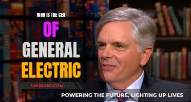 Who is the Current CEO of General Electric?