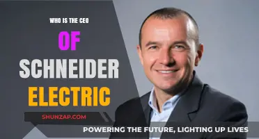 Leadership at Schneider Electric: Meet the CEO