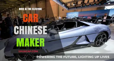 Discovering China's Leading Electric Vehicle Manufacturer: A Comprehensive Guide