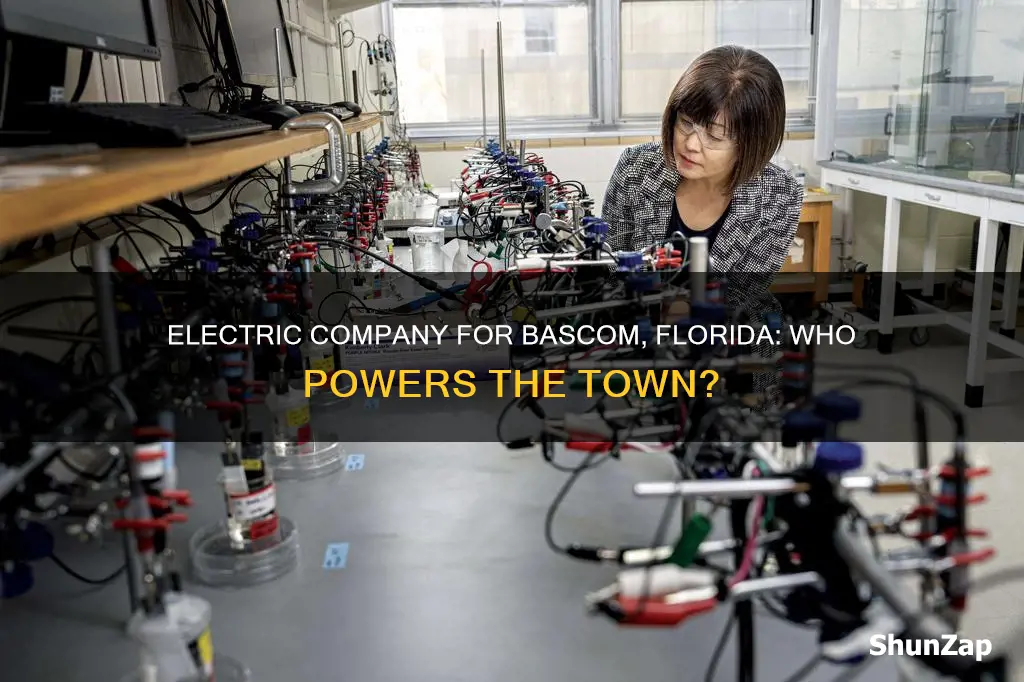 who is the electric company for bascom florida