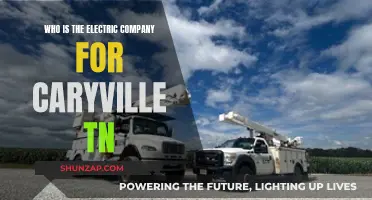 Powering Caryville: Who's the Electric Company?