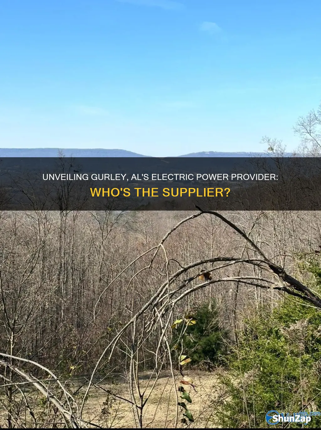 who is the electric company for gurley al