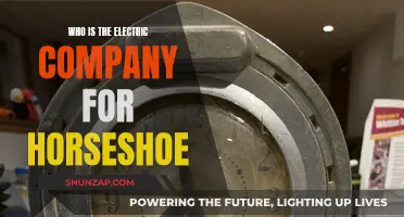 Electric Company for Horseshoe: Who Powers the Town?