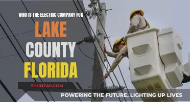 Lake County's Electric Power: Who's the Supplier?