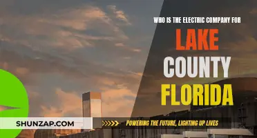 Electric Company Provider for Lake County, Florida: Who's Responsible?