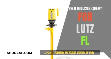 Electric Company Options for Lutz, Florida Residents