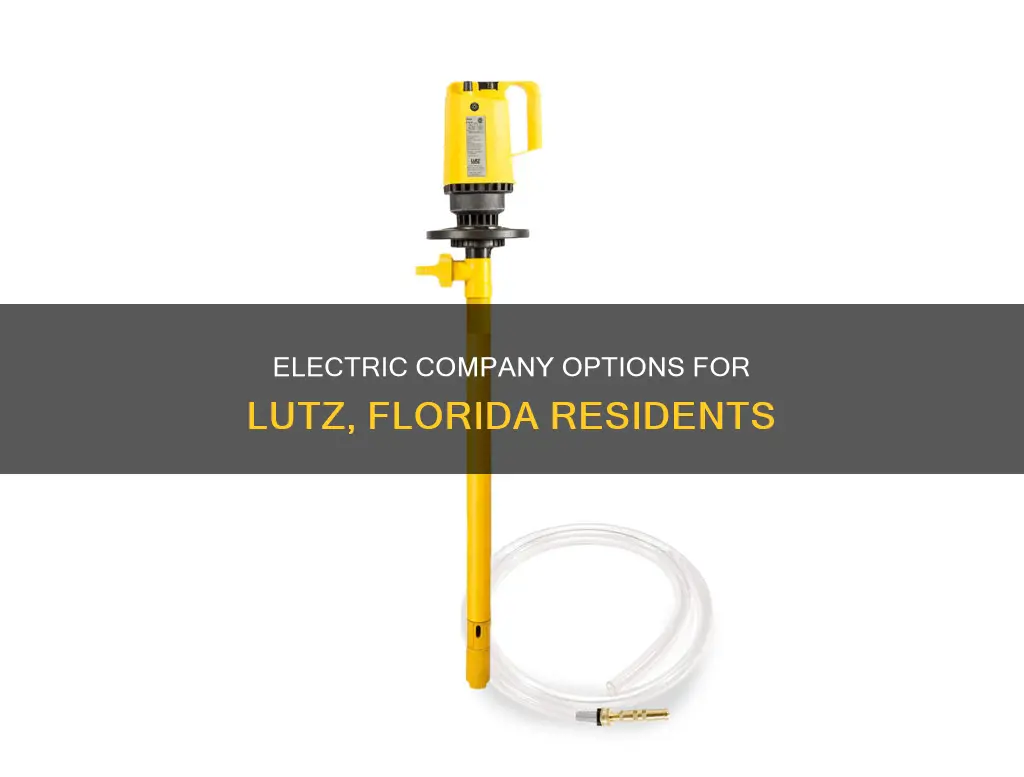 who is the electric company for lutz fl