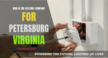 Uncover Petersburg's Electric Power: Who's the Supplier?