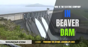 Unveiling Beaver Dam's Electric Powerhouse: Who's the Company Behind the Switch?