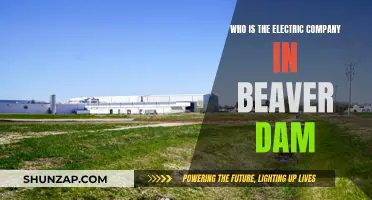 Electric Company in Beaver Dam: Who Powers the City?