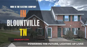 Electric Company in Blountville, TN: Who Powers the City?