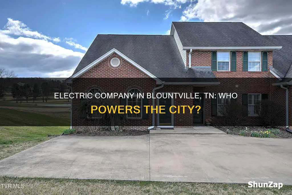 who is the electric company in blountville tn