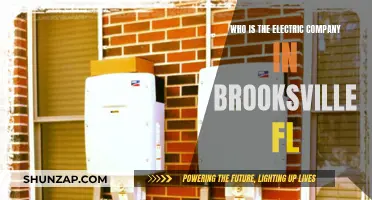 Unveiling the Electric Company in Brooksville, FL: Powering the Community