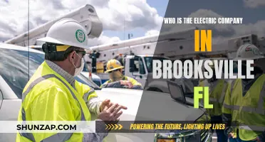Electric Company in Brooksville, Florida: Who Powers the City?