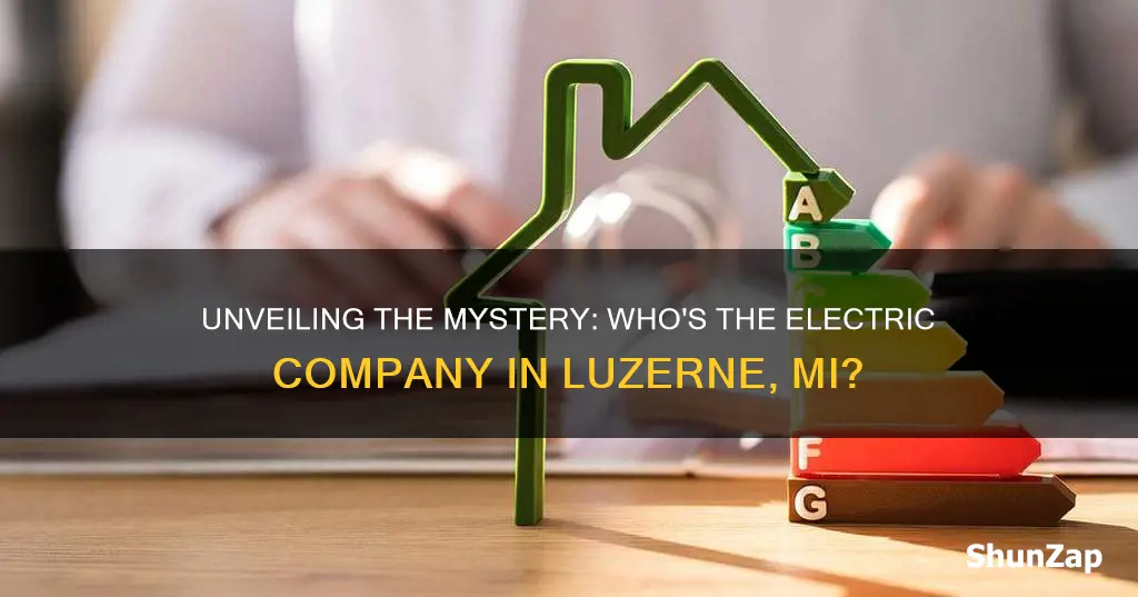 who is the electric company in luzerne mi