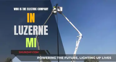 Electric Company in Luzerne MI: Who Powers the County?