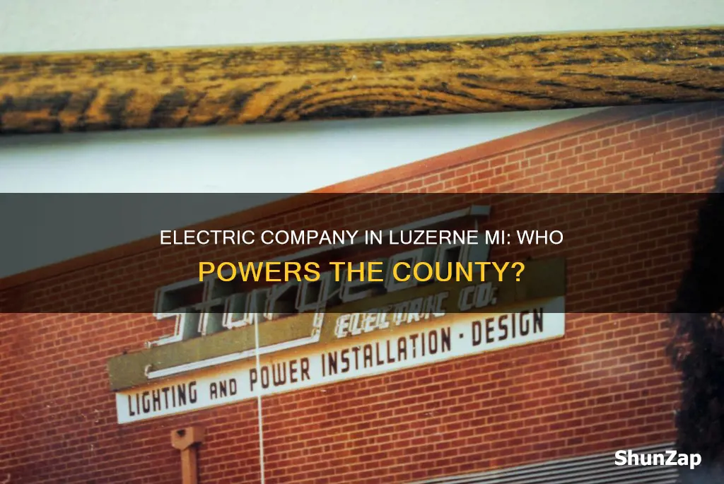 who is the electric company in luzerne mi