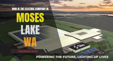 Unveiling the Power: Who's the Electric Company in Moses Lake, WA?