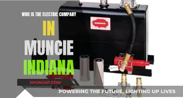 Electric Company in Muncie, Indiana: Who Powers the City?