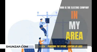 Uncover Your Local Electric Company: A Quick Guide