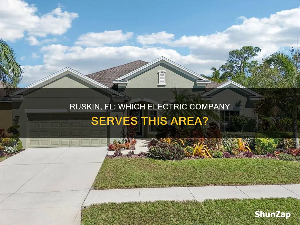 who is the electric company in ruskin fl