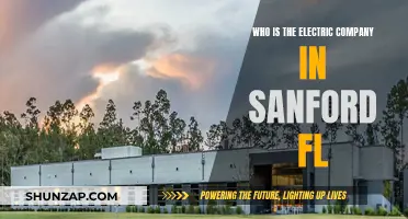 Sanford's Electric Company: Powering the Community with Sustainable Energy Solutions