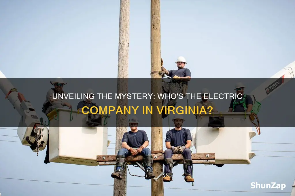 who is the electric company in va